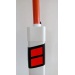 Delineator with snow pole